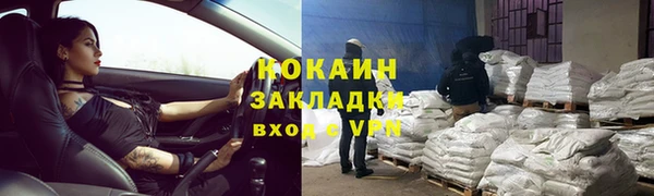 стаф Касимов