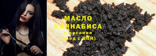 стаф Касимов