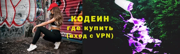 стаф Касимов