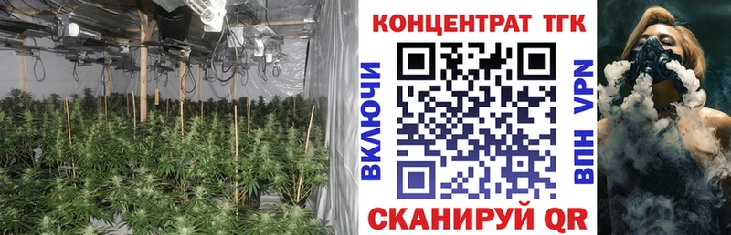 Дистиллят ТГК концентрат  Купить где  Семёнов 