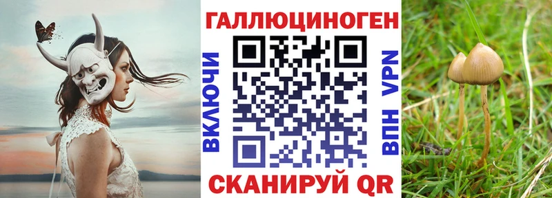 Купить  Семёнов  Псилоцибиновые грибы прущие грибы 